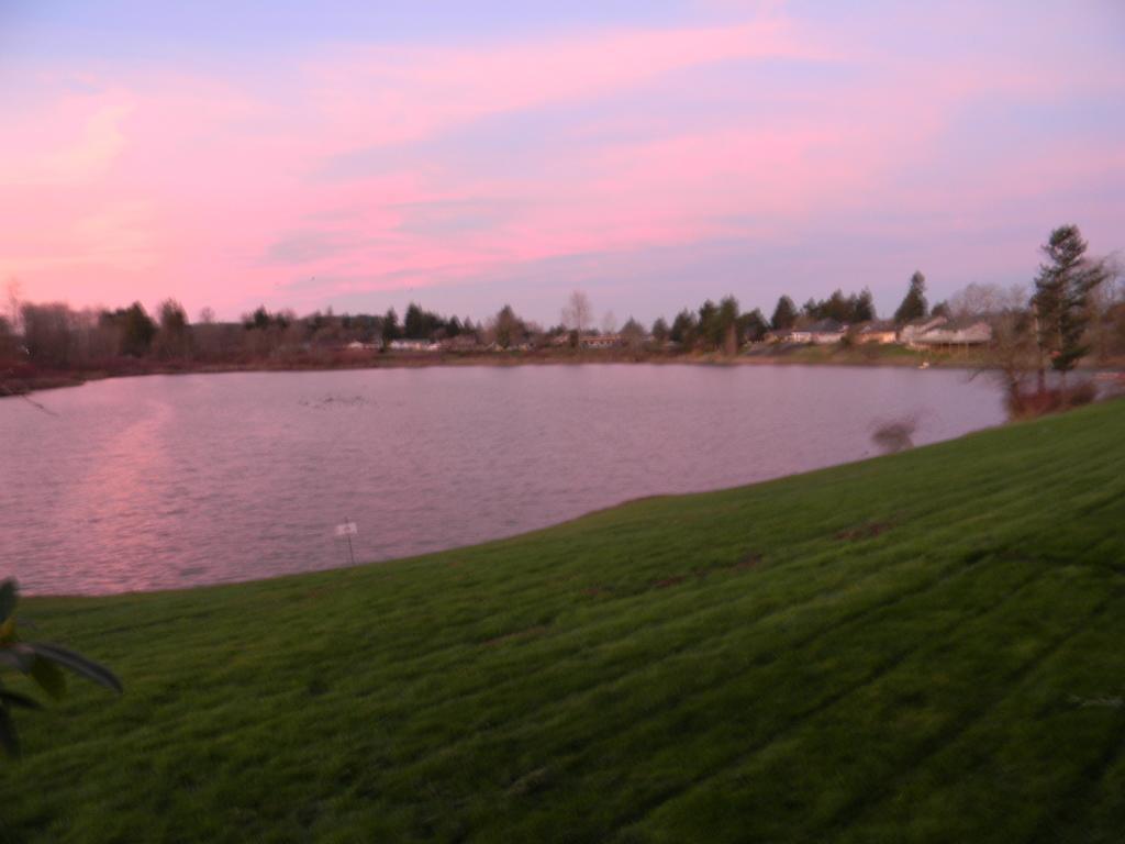 Lakeview Motel
